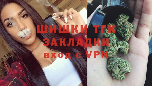 jwh Пересвет