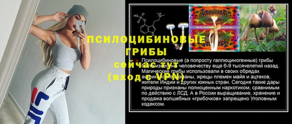 jwh Пересвет